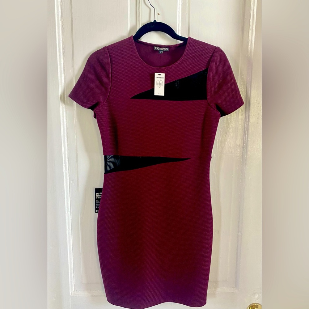 NWT Express mini mesh dress